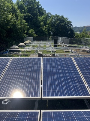 IBC Solar — IBC PolySol 260 VL