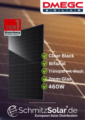   DMEGC — DM460G12RT-B48HBT