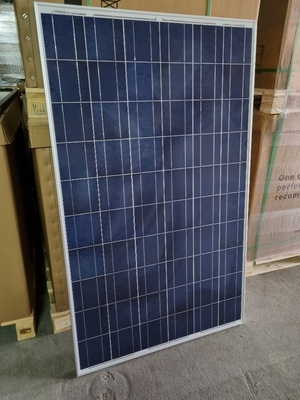 Renesola — JC260M-24/Bb