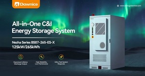 Dawnice — All-in-One ESS