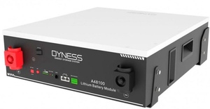 DYNESS — A48100